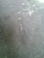 2013-07-18 19.20.31.webp