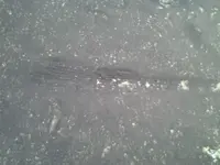 2013-07-18 19.21.02.webp