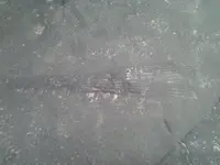 2013-07-18 19.20.52.webp