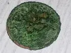 One Penny.webp