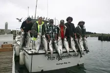 salmon1.webp