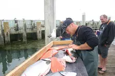 salmon2.webp
