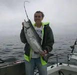salmon3.webp