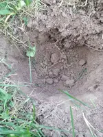 20130818_182344.webp