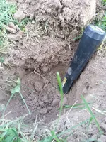 20130818_182353.webp