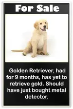 gold.webp