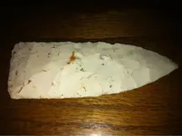 image-1411738246.webp