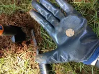First Find.webp
