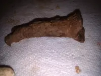 IMG_20130803_190142.webp
