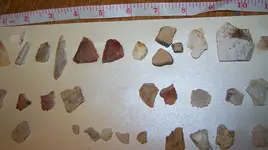 florida rocks 067.webp