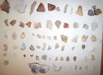 florida rocks 052.webp