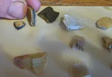 florida rocks 058.webp