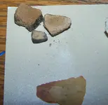 florida rocks 062.webp