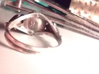 v. silver 003.webp