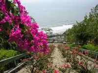51537763_018_vung_tau.webp