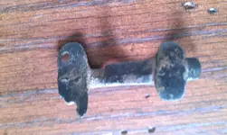 IMAG0527.webp IMAG0527.webp