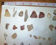 florida rocks 066.webp