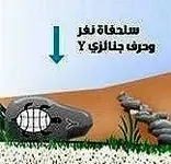 DBM-161412296-Amjad.crop.webp