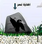 DBM-258096461-Amjad.crop.webp