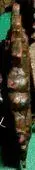 DSCF0002(1).webp