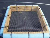 My first sifter 004 (Custom).webp