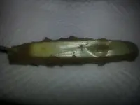 Pocket Knife 2.webp