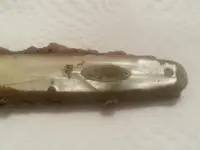 Pocket Knife 3.webp