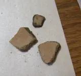 florida rocks 085.webp
