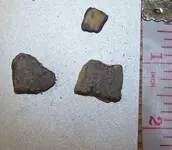 florida rocks 076.webp