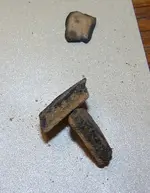 florida rocks 082.webp