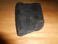 DSCN0610.webp