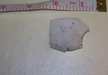 florida rocks 104.webp