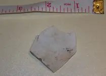 florida rocks 107.webp