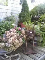 0824131834.webp