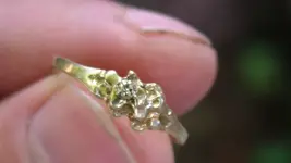 gold ring.webp