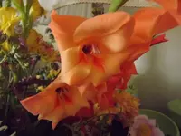 3-25-13 011.webp