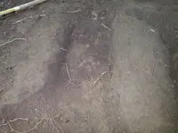 20130728_123348.webp