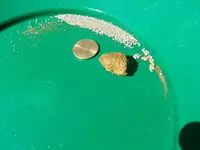 nug.webp