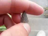 20130729_195601.webp