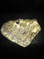 Bluff Dale 052.webp