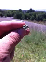 CTR Ring.webp