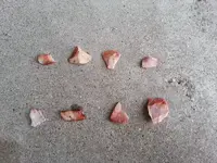 20130729_194647.webp