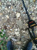 image-869160193.webp