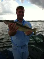 image-1581079270.webp