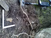 IMG00292-20130301-1321.webp