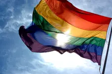 Rainbow_flag_and_blue_skies.webp