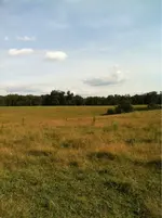 image-664344508.webp
