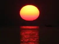 DSCN5155.webp