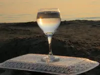 DSCN5123.webp