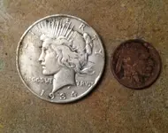 detector finds.webp
